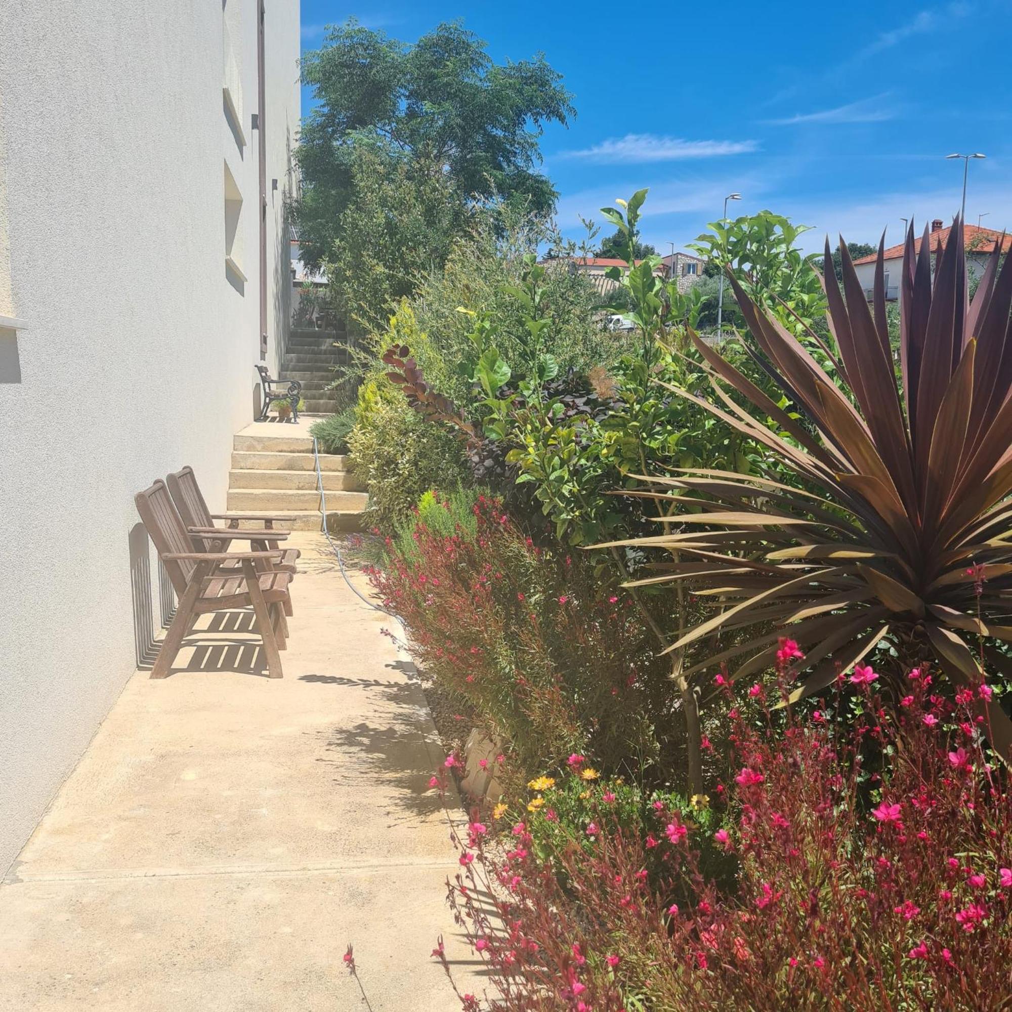 Villa Queen Zadar Ngoại thất bức ảnh